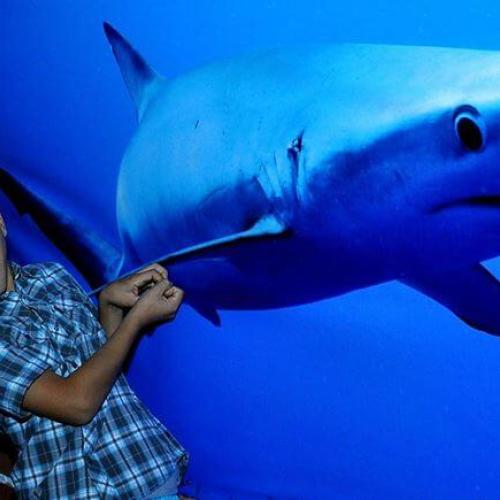 Excursion au Grand Aquarium à Hurghada