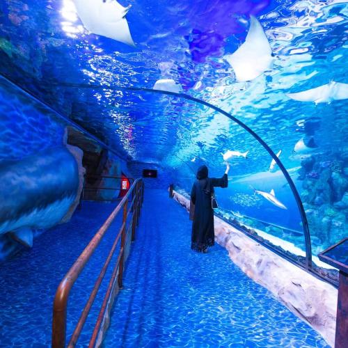 Excursion au Grand Aquarium à Hurghada