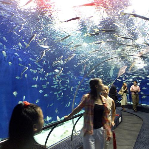 Excursion au Grand Aquarium à Hurghada