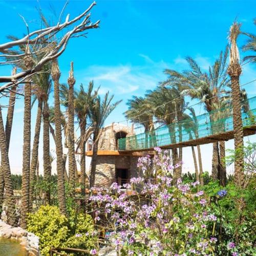 Excursion au Grand Aquarium à Hurghada