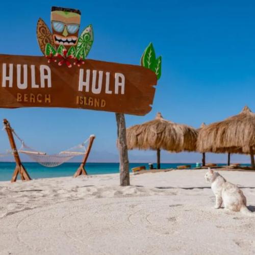 Île Hula Hula depuis Hurghada