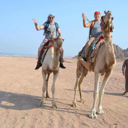 Safari quadem 3 godziny w Hurghadzie
