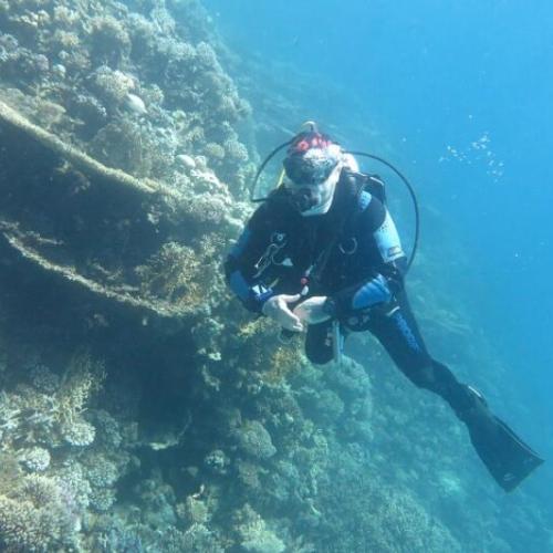 Daily diving in Hurghada - For Certified