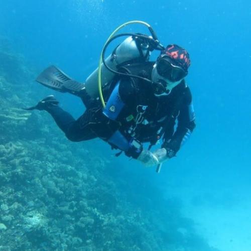 Daily diving in Hurghada - For Certified