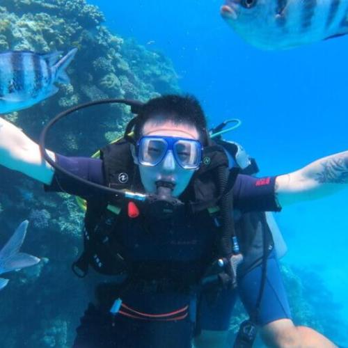 Plongée d’initiation à Hurghada pour débutants