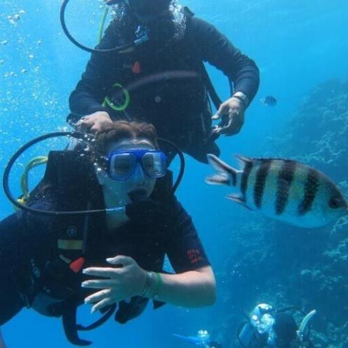 Plongée d’initiation à Hurghada pour débutants