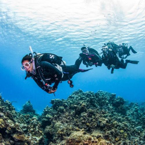 Daily diving in Hurghada - For Certified