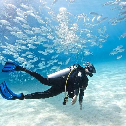 Daily diving in Hurghada - For Certified