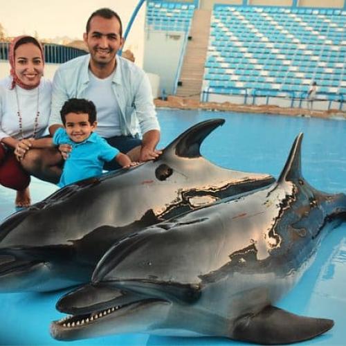Shooting with Dolphins in Hurghada