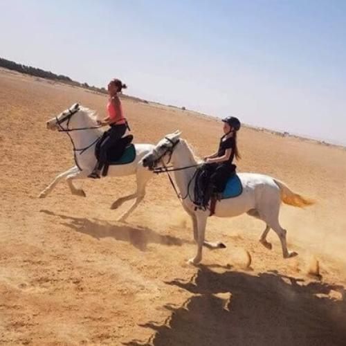 Balade à cheval diner spectacl hurghada