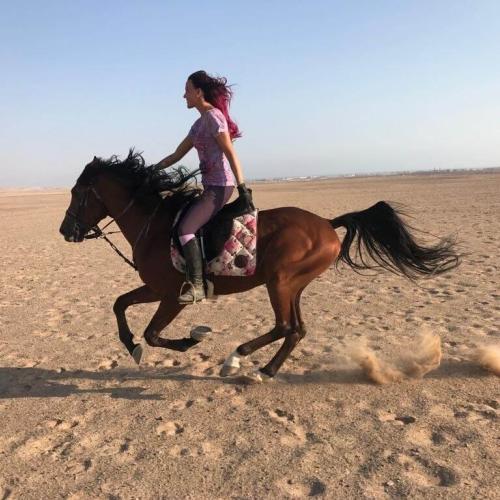 Balade à cheval diner spectacl hurghada
