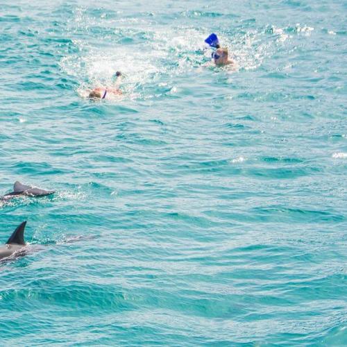 Private Speed Boat hurghada